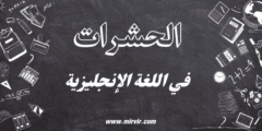 الحشرات