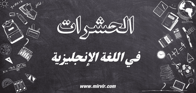 الحشرات
