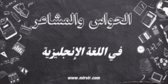 الحواس و المشاعر باللغة الانجليزية