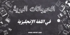 الحيوانات البرية باللغة الإنجليزية