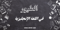 الطيور
