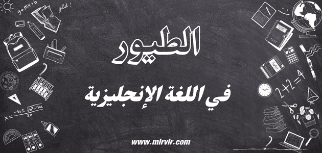 الطيور