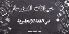 حيوانات المزرعة باللغة الانجليزية