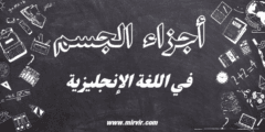 أجزاء الجسم